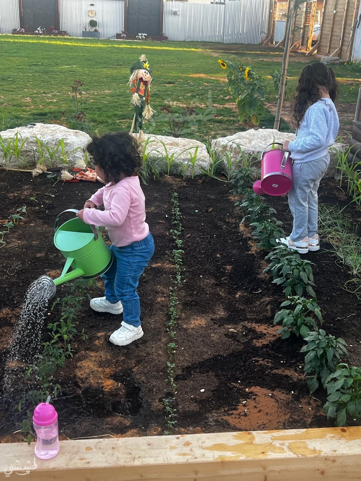 صورة حديقة الياسمين في الطيبة 1