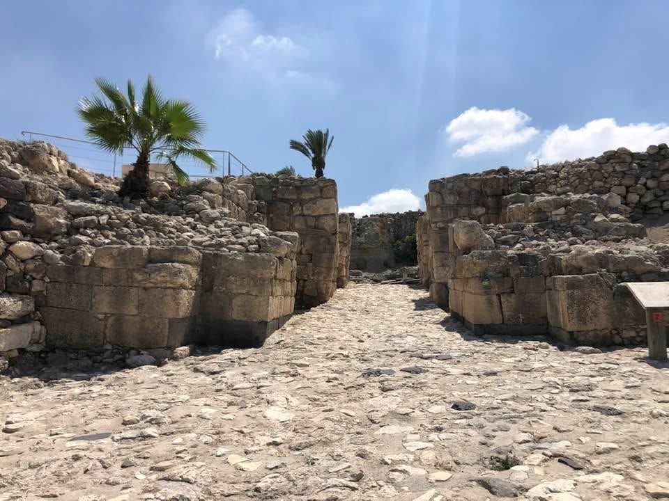 صورة تل المتسلم مجيدو 2
