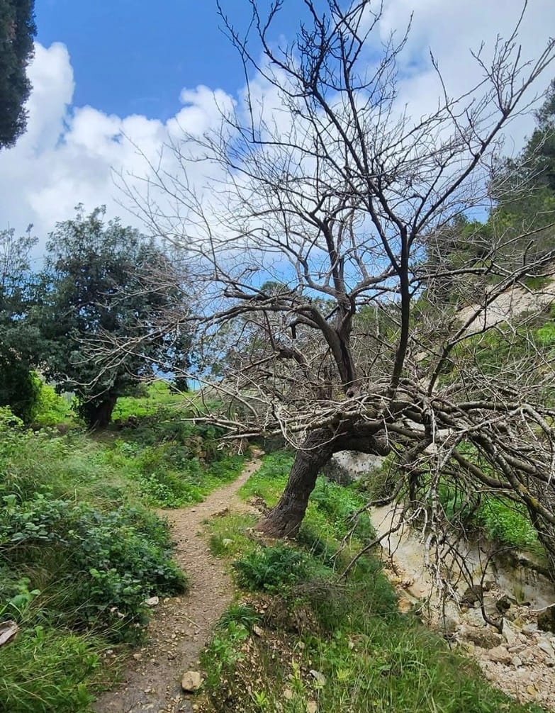 صورة مسار وادي السيّاح 2