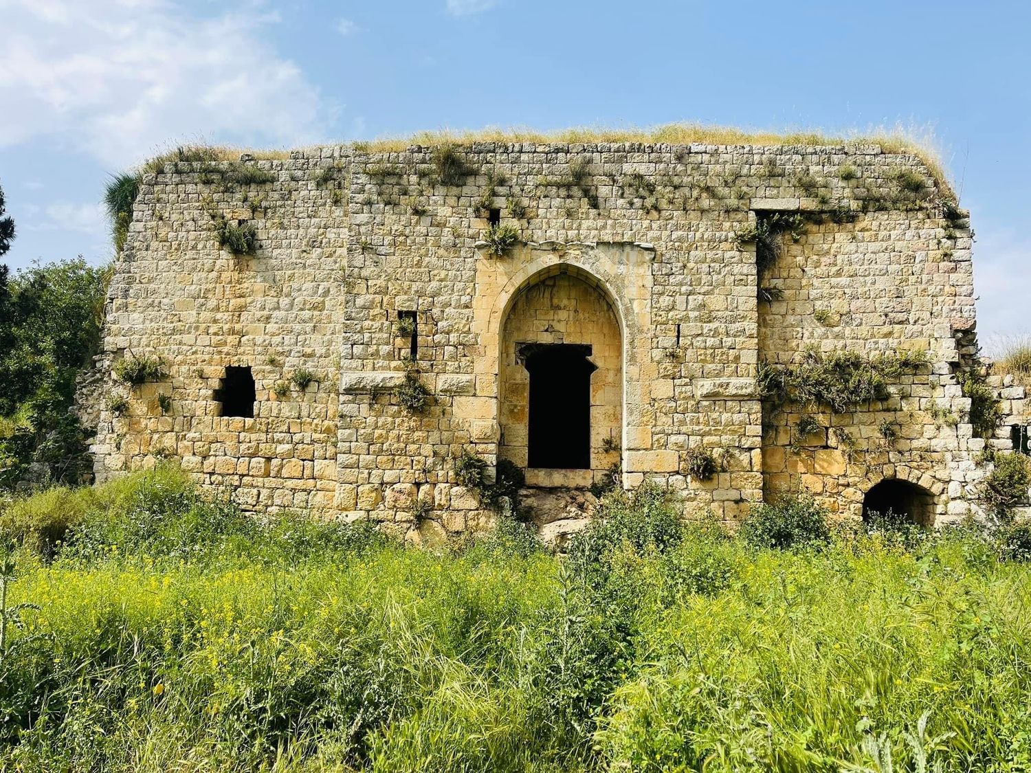 صورة قلعة هونين