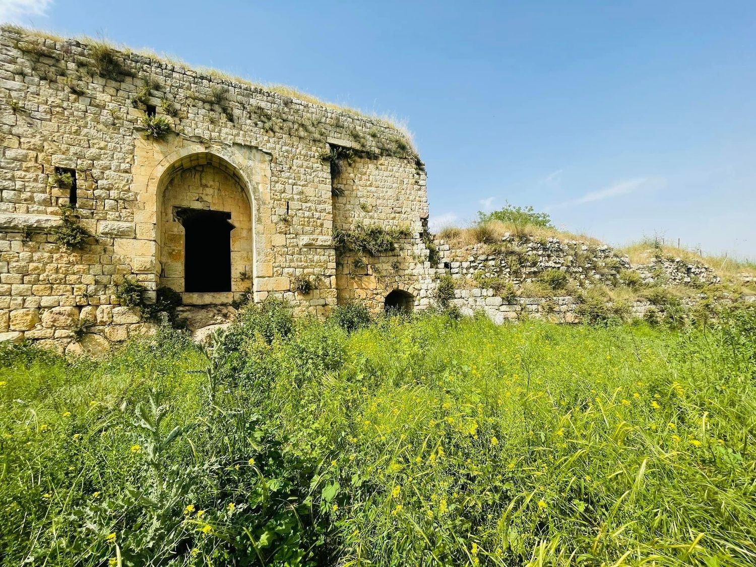 صورة قلعة هونين 1