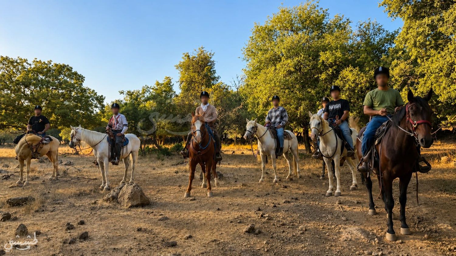 صورة مزرعة الخيول في الجولان 1