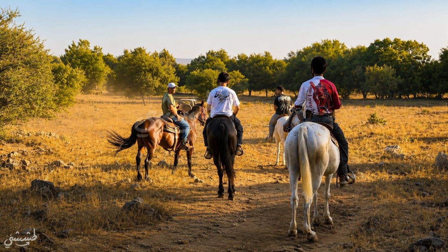 صورة مزرعة الخيول في الجولان 2
