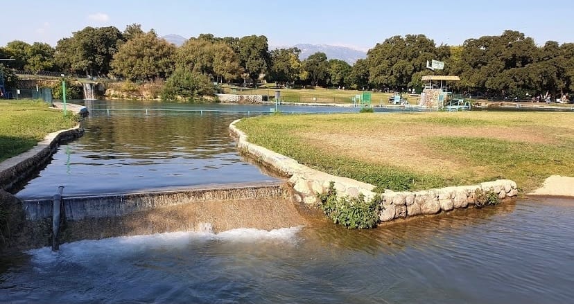 صورة حورشات تال 3