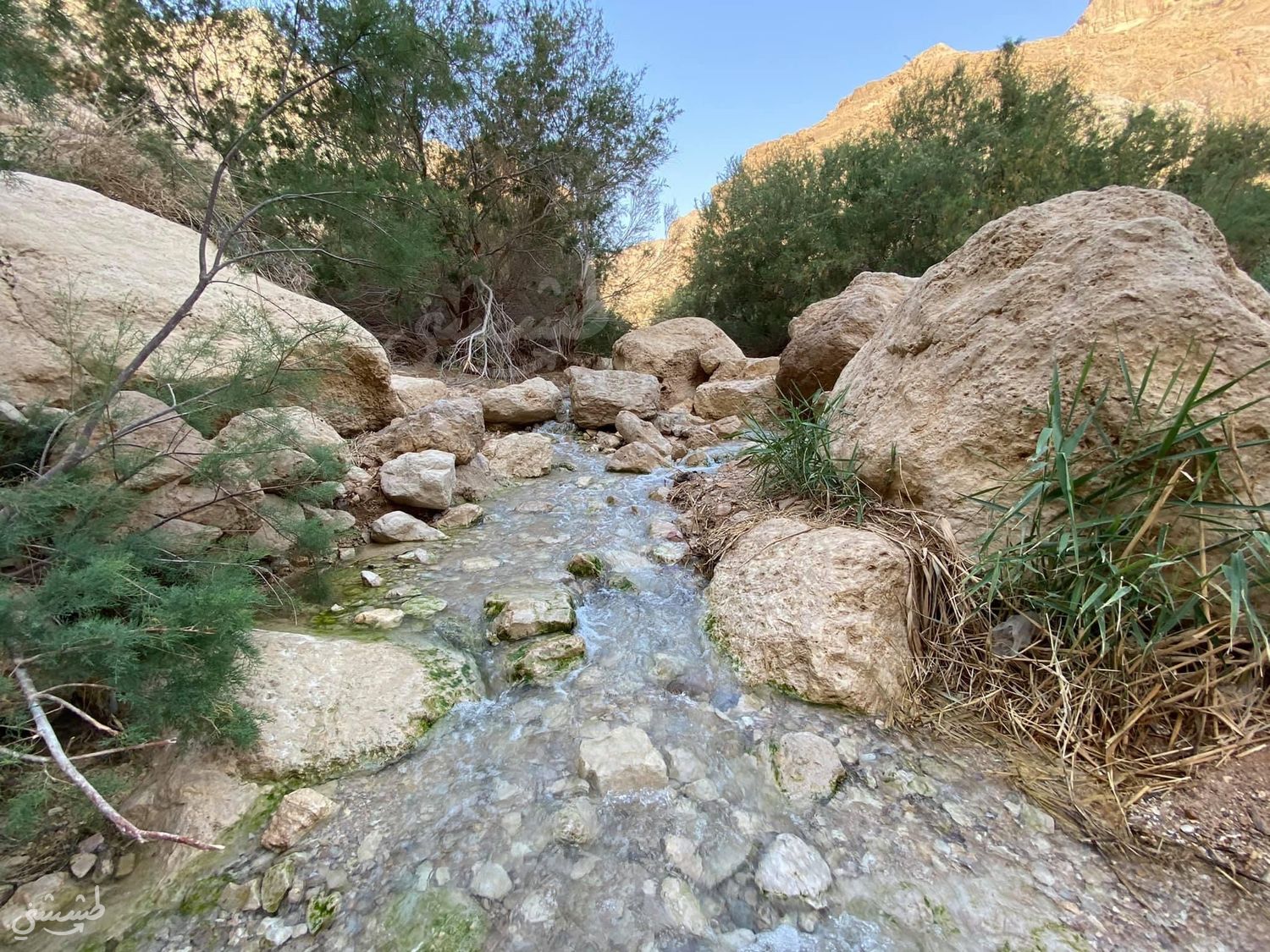 صورة مسار عين بوكيك 3
