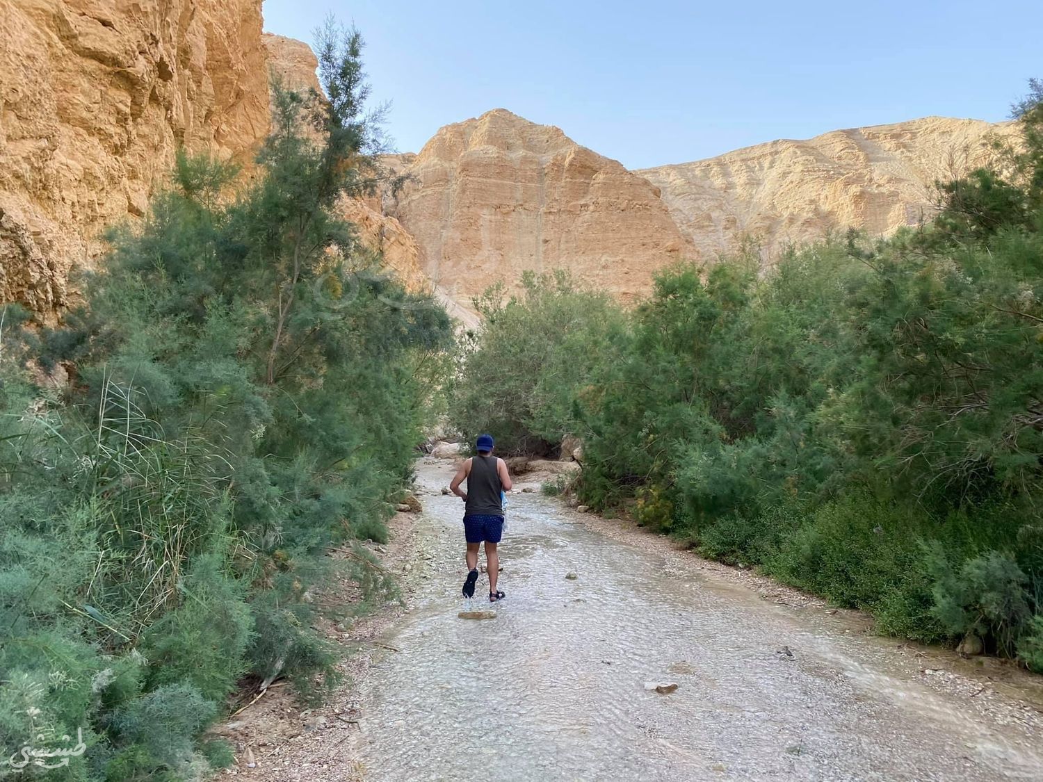 صورة مسار عين بوكيك 2