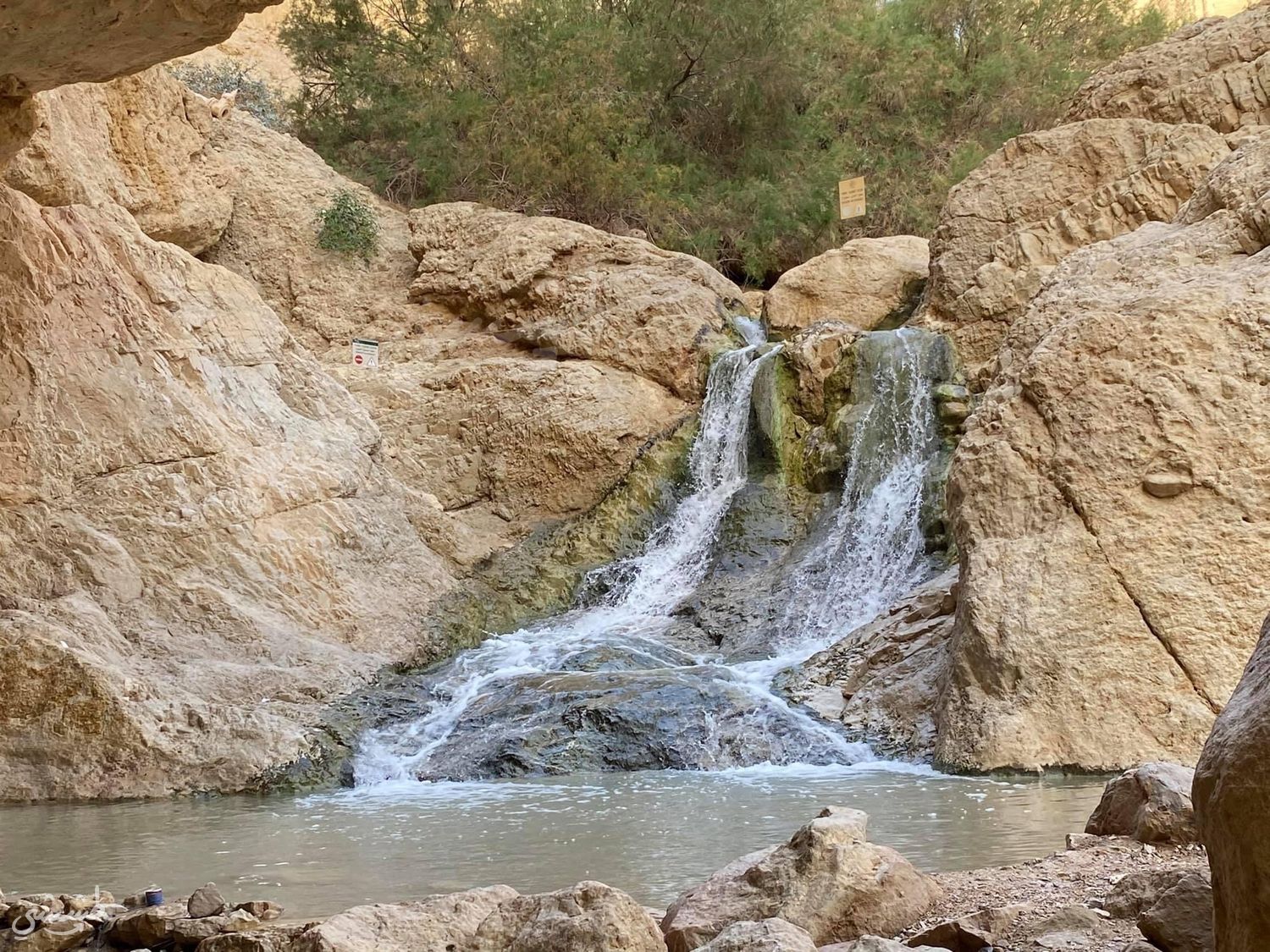صورة مسار عين بوكيك
