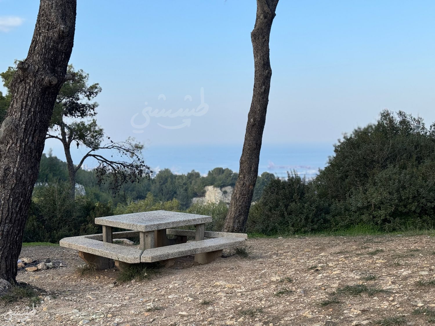 صورة احراش تلة الهغانا 1