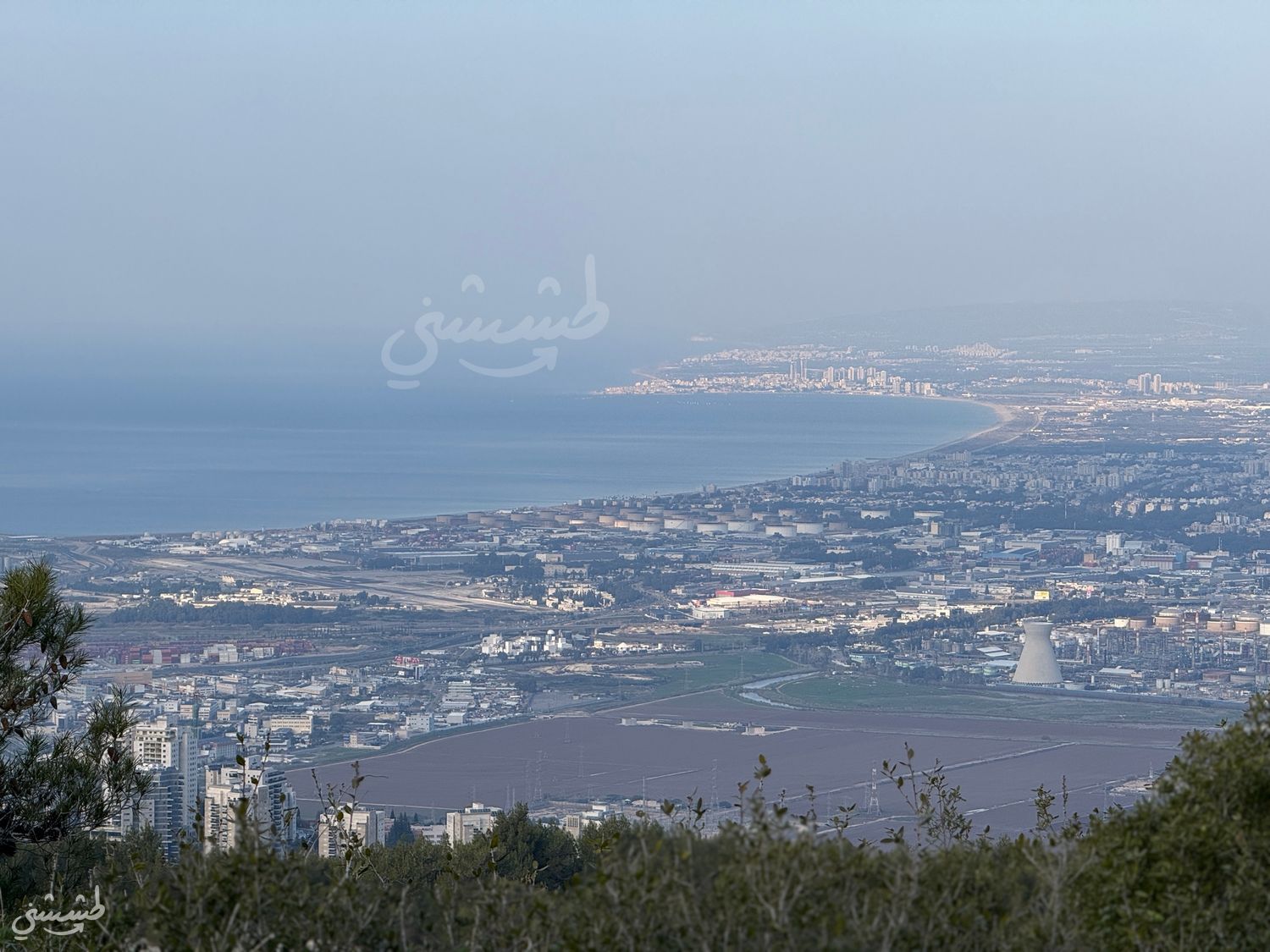 صورة احراش تلة الهغانا