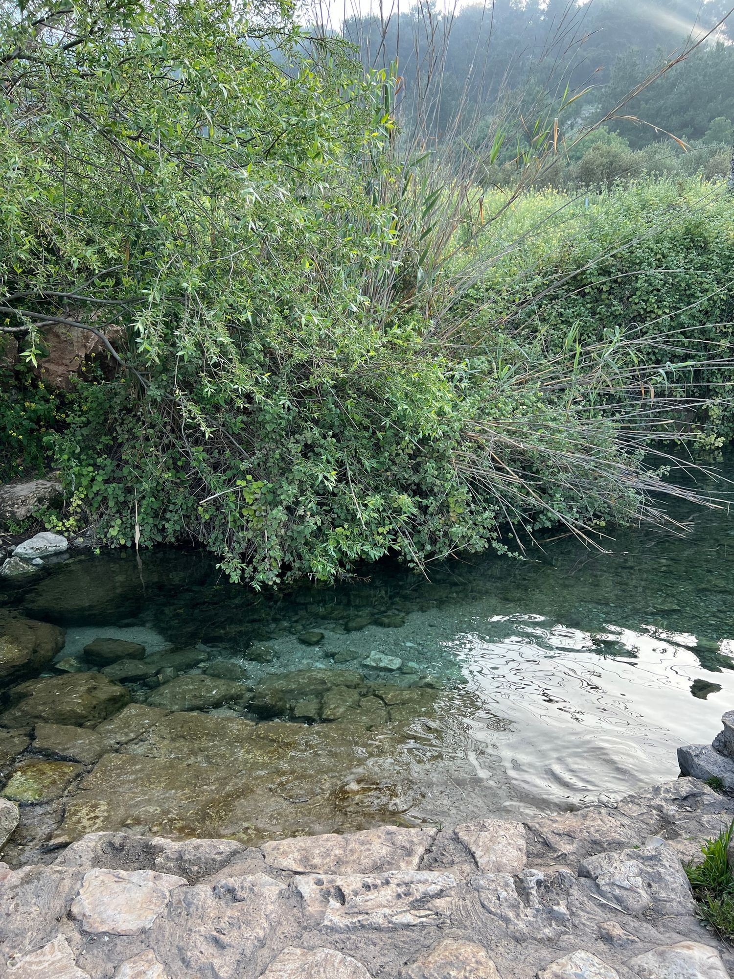 صورة نبع راس العين 2