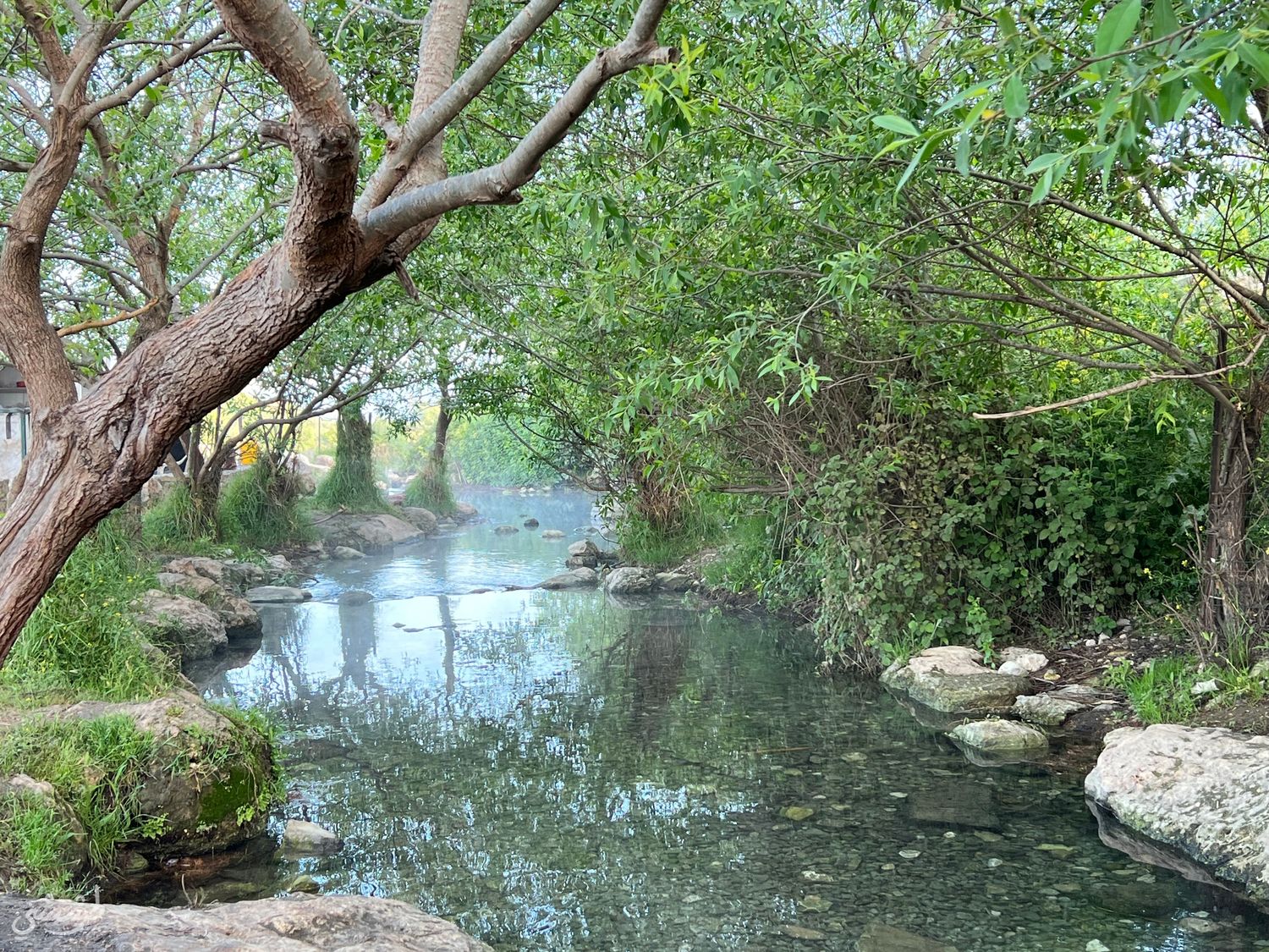 صورة نبع راس العين 3