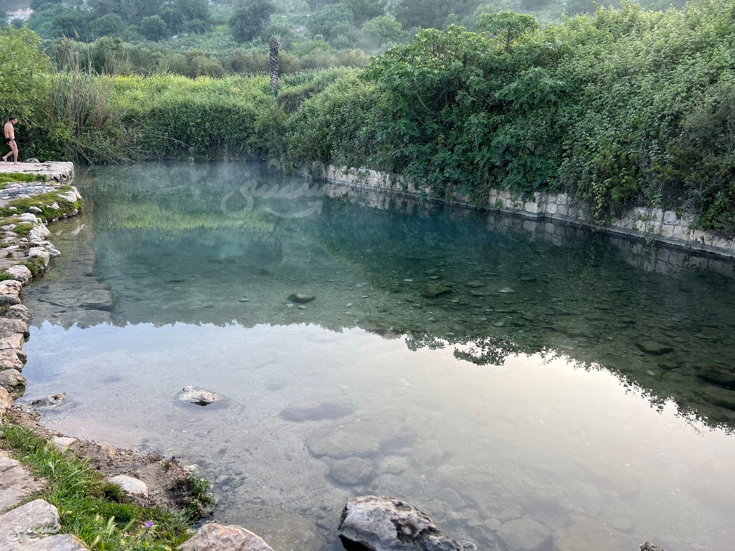 صورة نبع راس العين 1