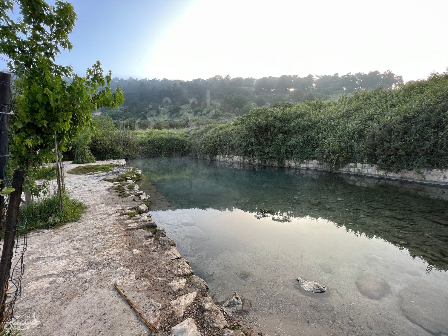 صورة نبع راس العين