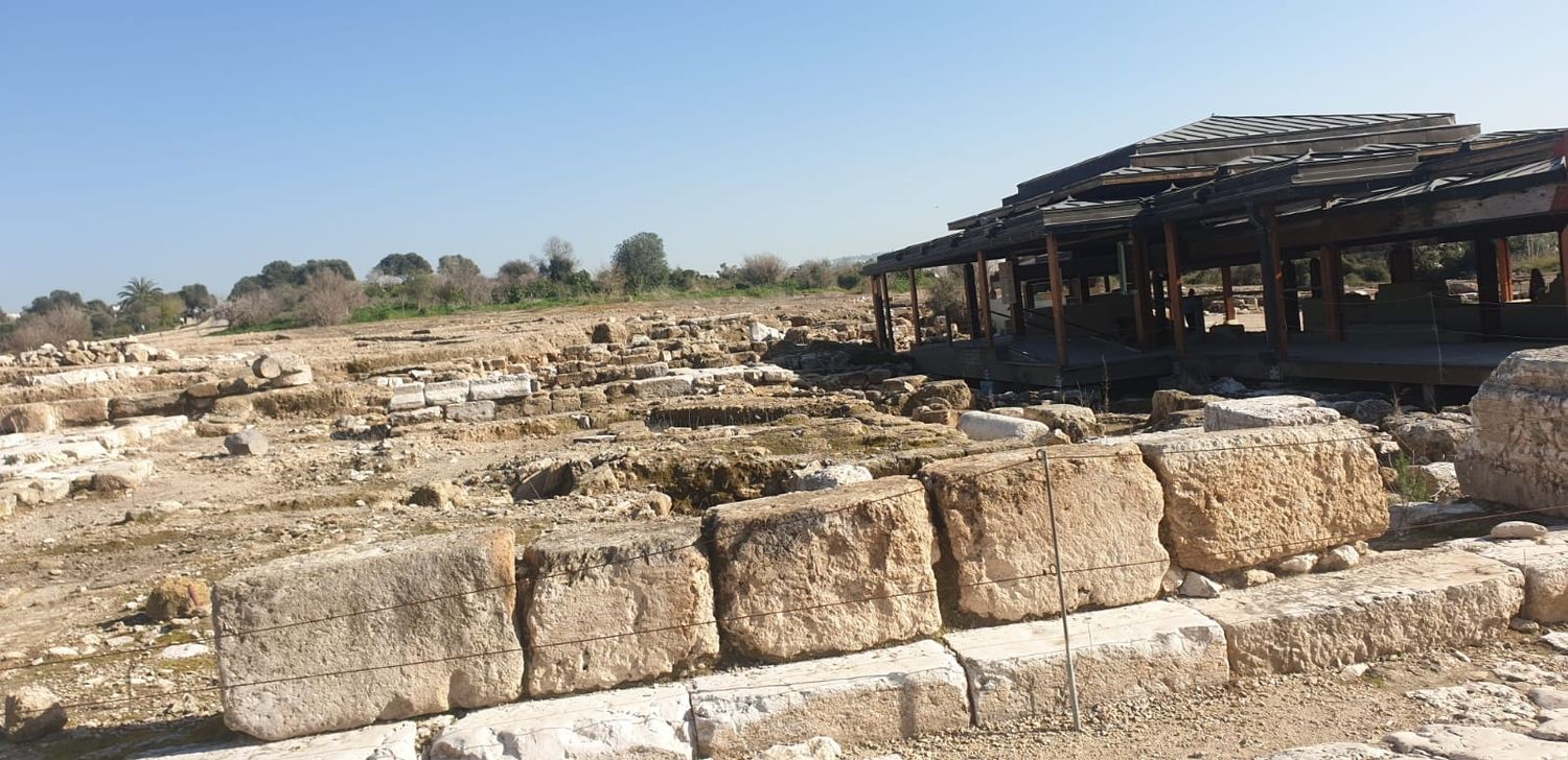 صورة الحديقة الوطنية صفورية 3