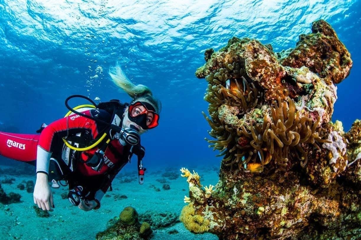صورة فعالية الغوص في ايلات