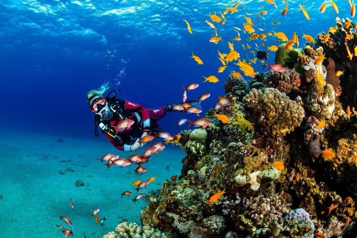 صورة فعالية الغوص في ايلات 2