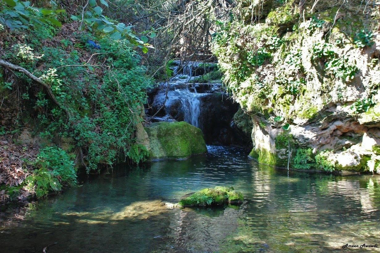 صورة مسار وادي عمود العلوي 2