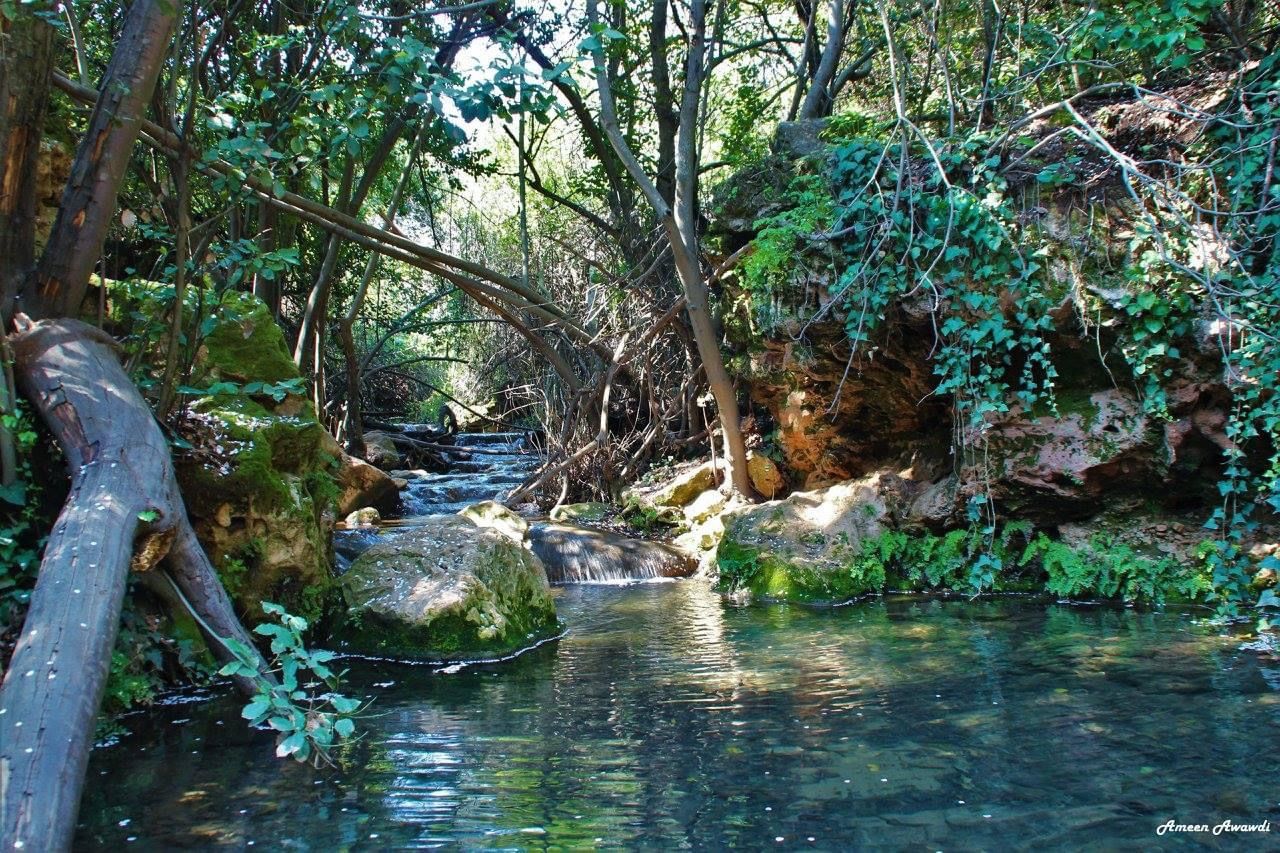 صورة مسار وادي عمود العلوي