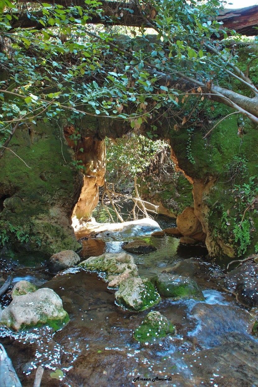 صورة مسار وادي عمود العلوي 1