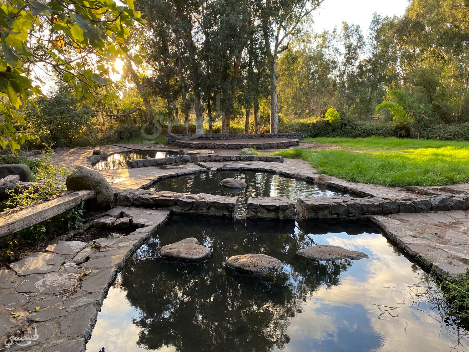 صورة عيون السلوقية