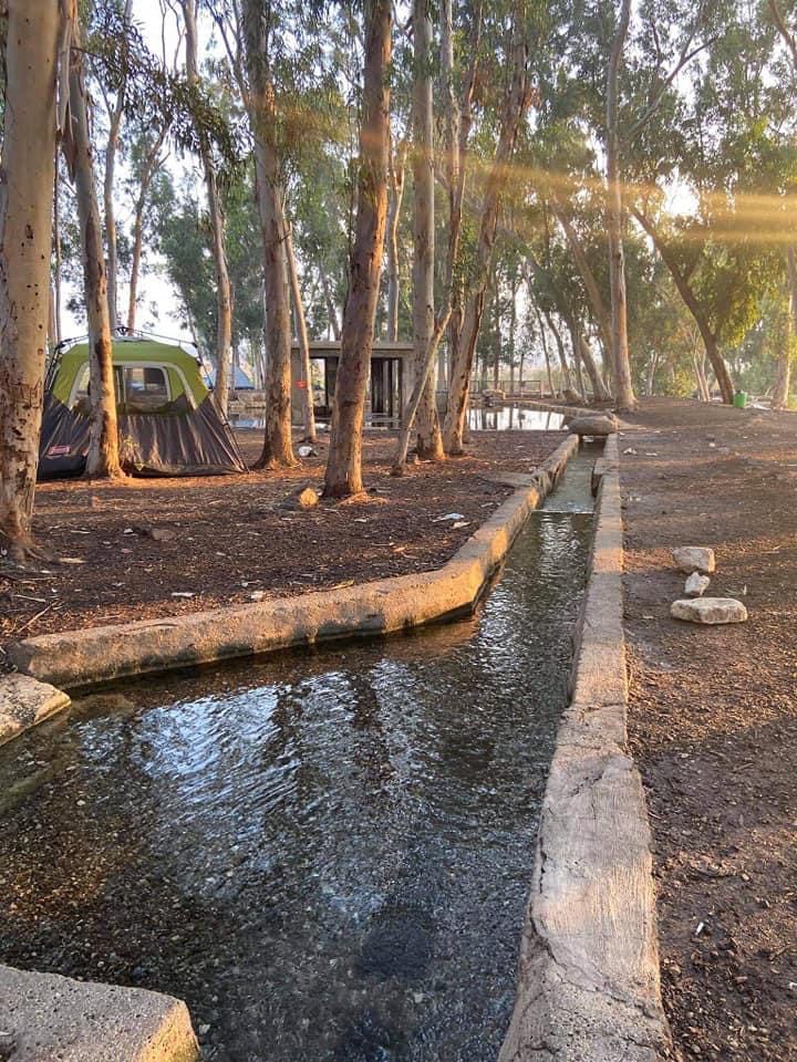 صورة عين الزرعين 1