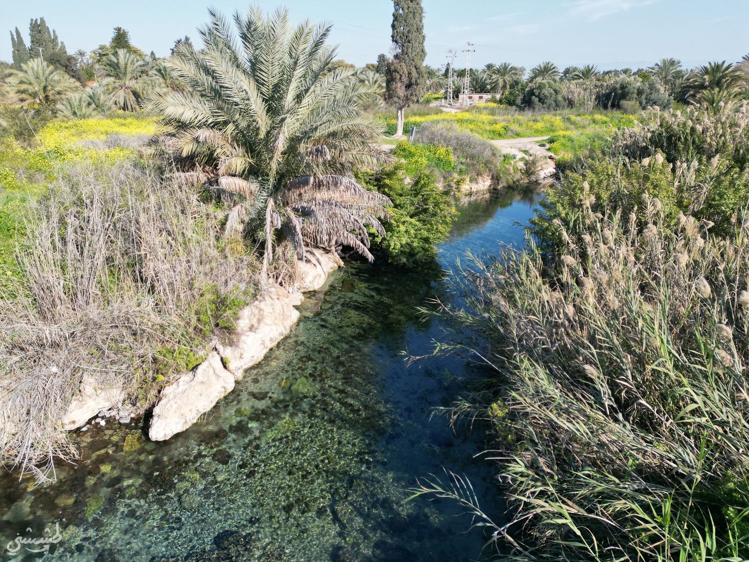 صورة وادي الجمّاعين