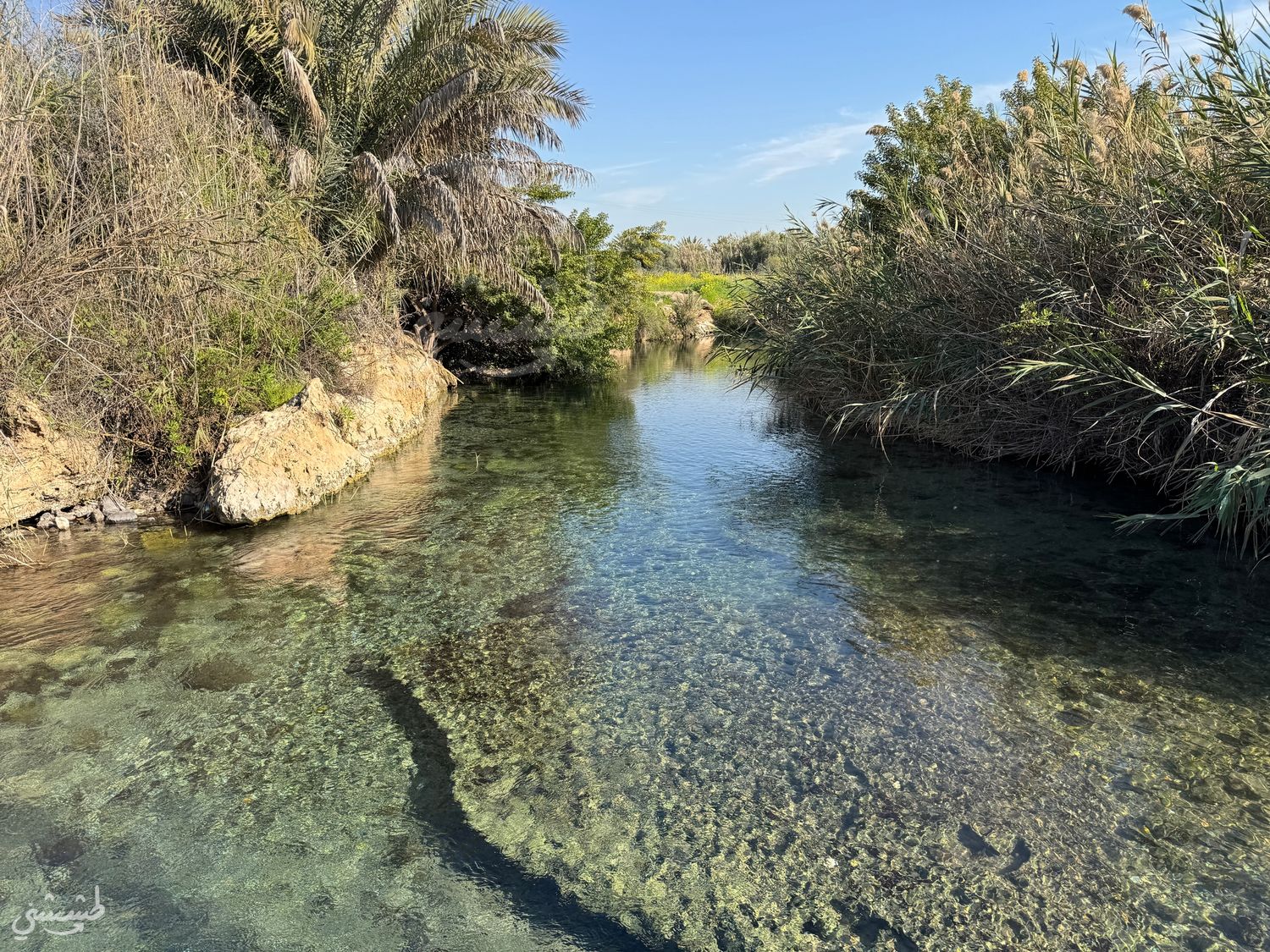صورة وادي الجمّاعين 2