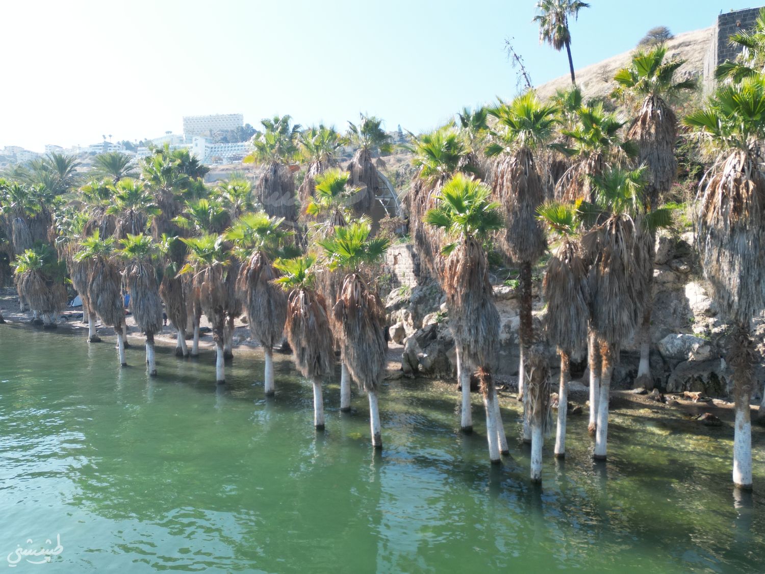 صورة شاطئ بورا بورا السري