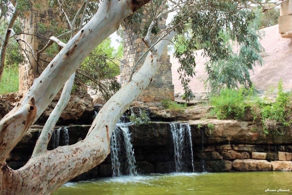 صورة متنزه جسر القنطرة 2