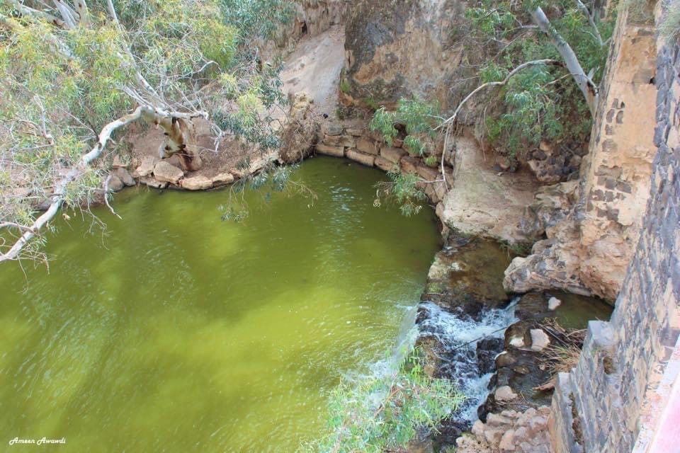 صورة متنزه جسر القنطرة 3