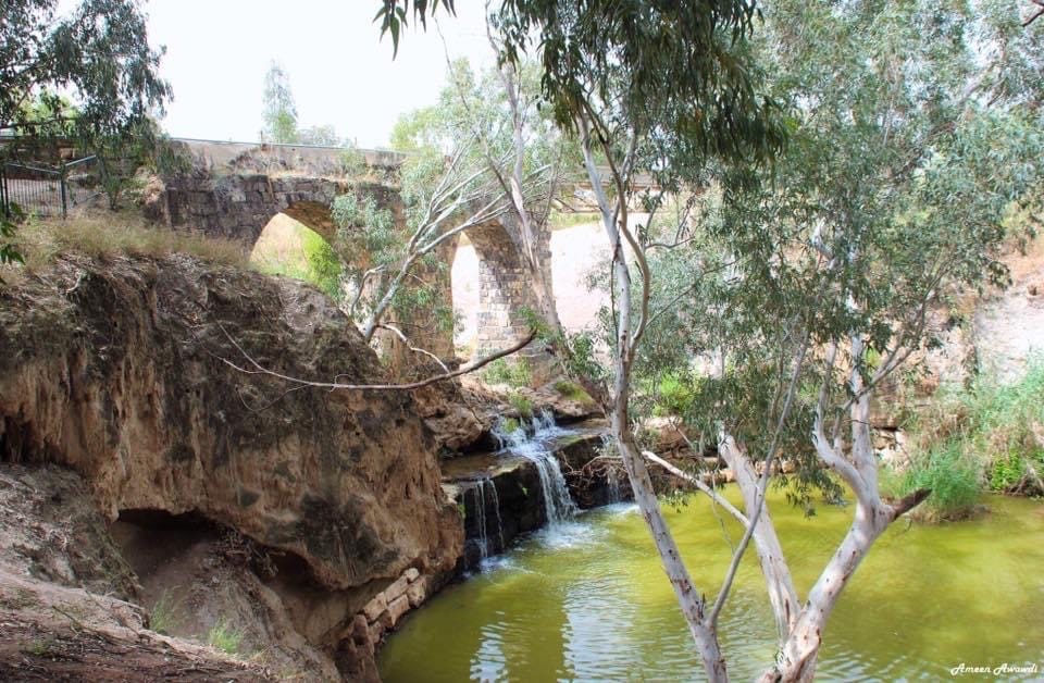 صورة متنزه جسر القنطرة 1