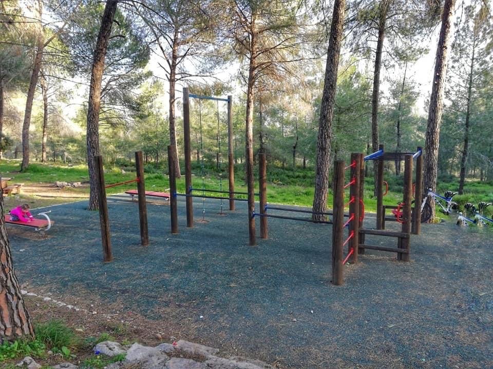 صورة غابة السعدية "عمينداف" 2
