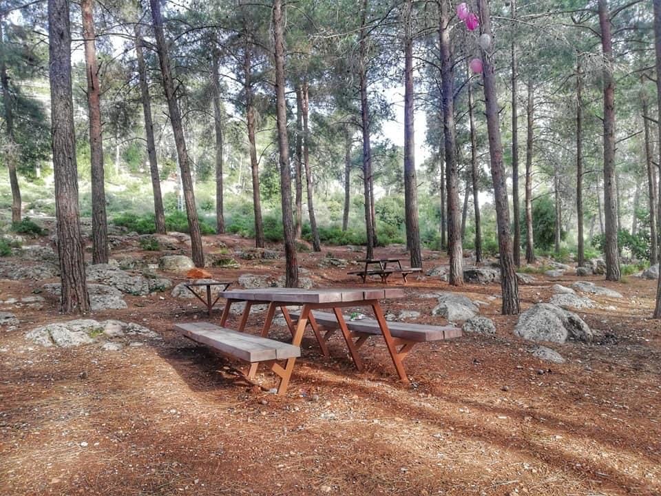 صورة غابة السعدية "عمينداف" 1