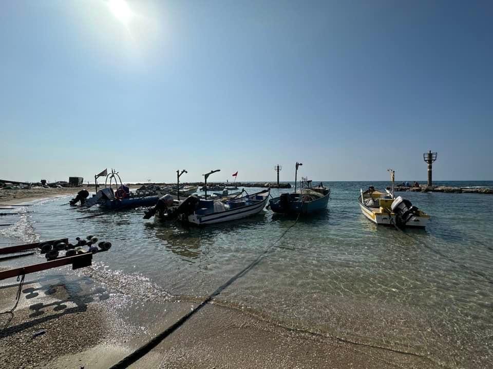صورة قرية الصيادين في جسر الزرقاء 3