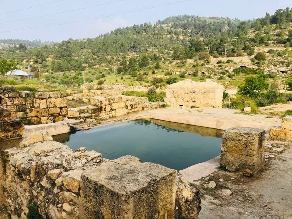 صورة عين الحنية 1