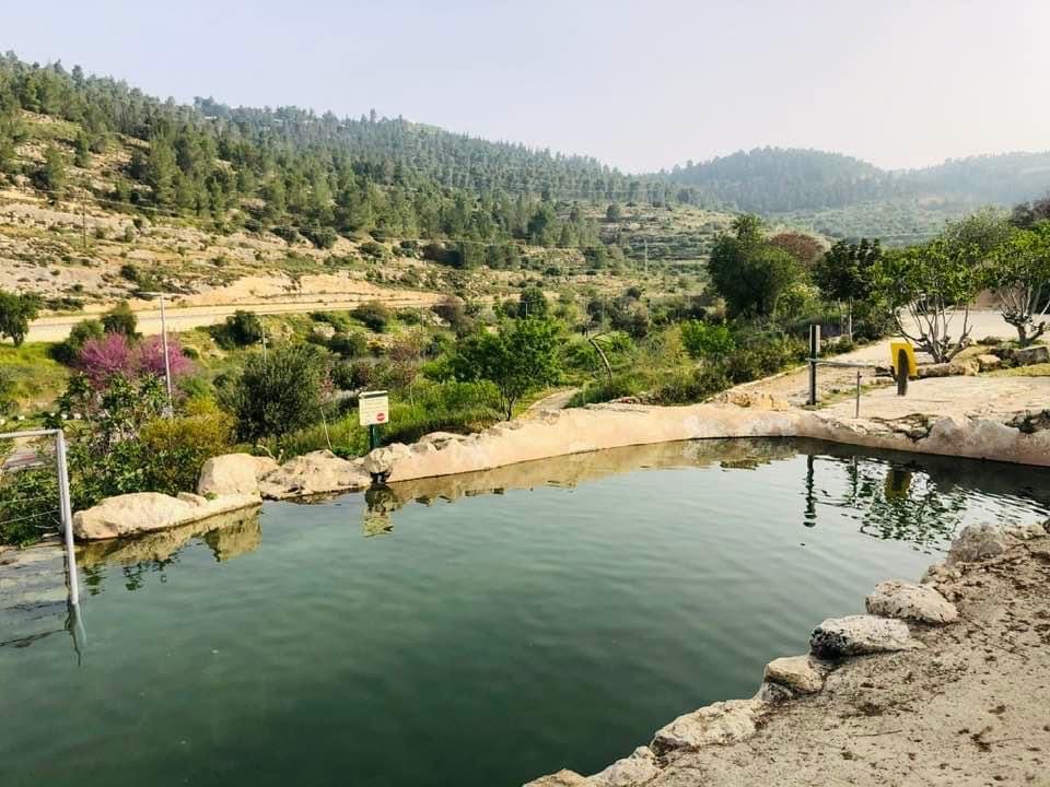 صورة عين الحنية 2