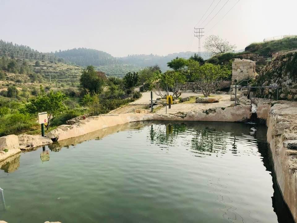 صورة عين الحنية 3