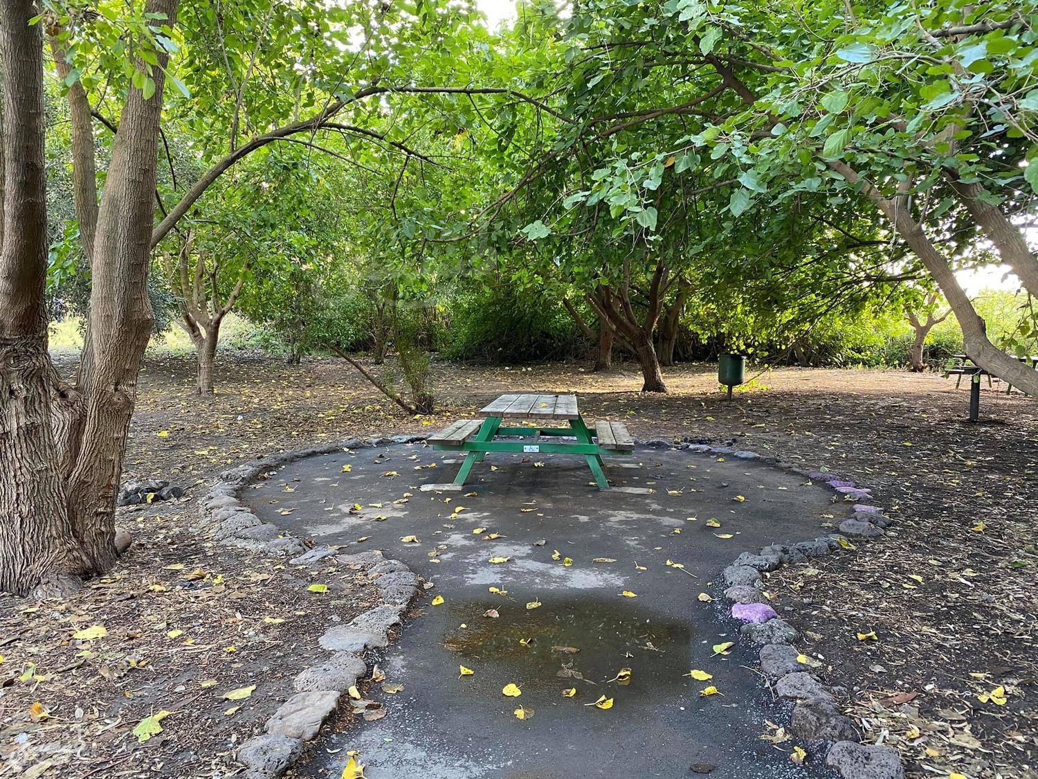 صورة متنزه الدردرة