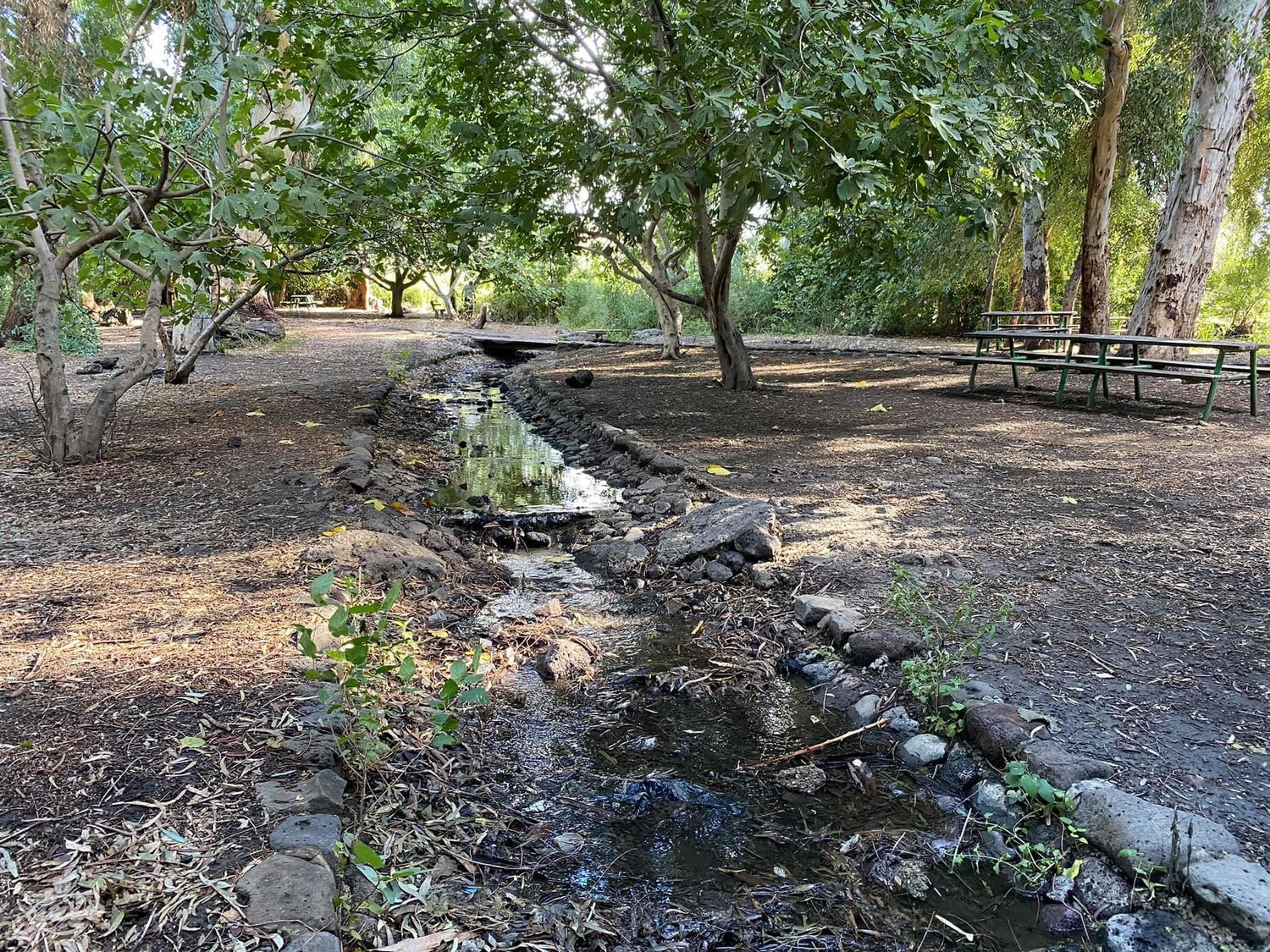 صورة متنزه الدردرة 3