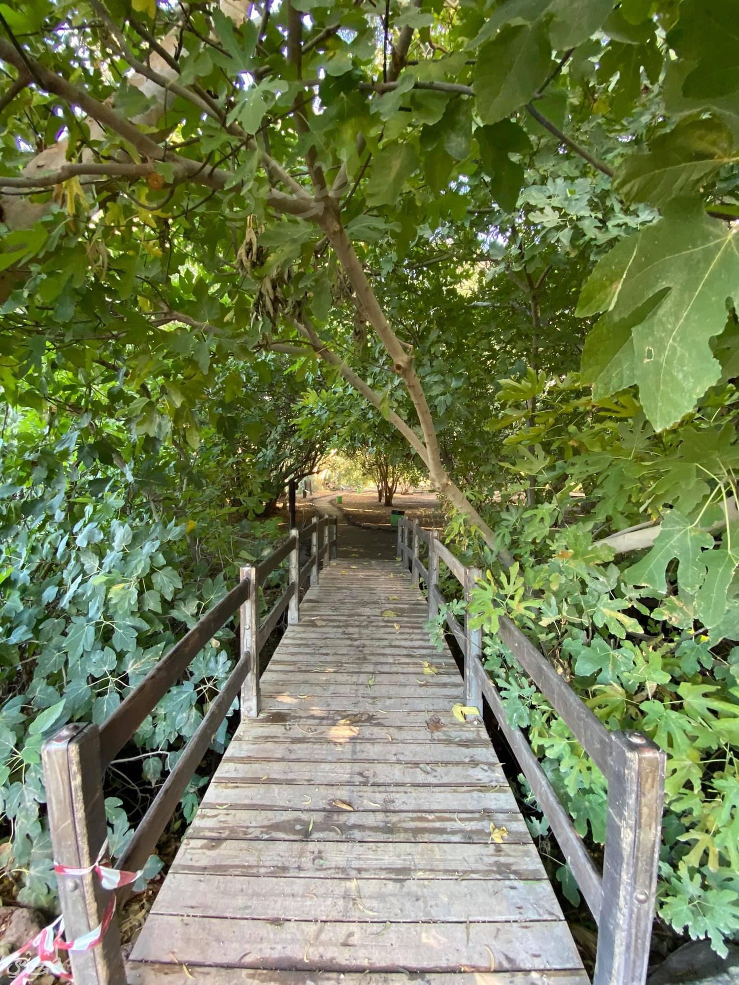 صورة متنزه الدردرة 1