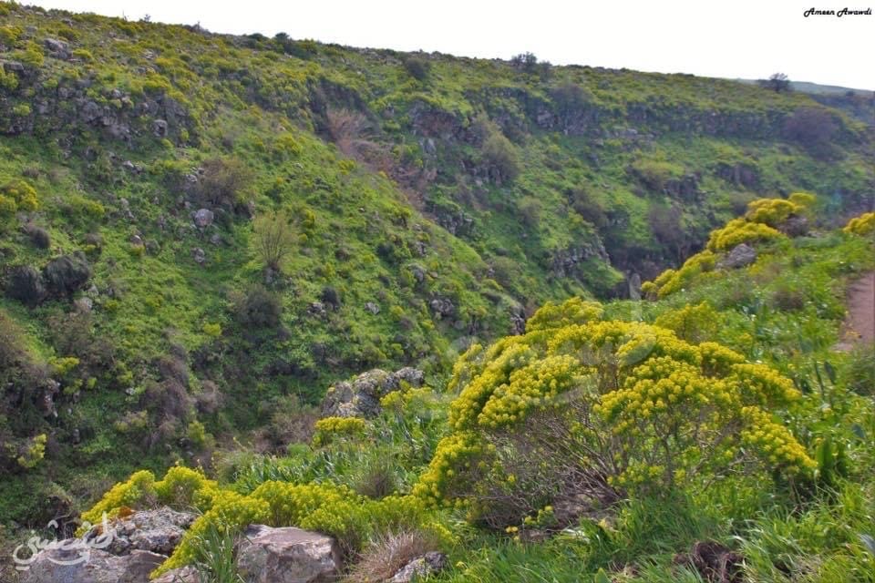 صورة شلال العقاب 2