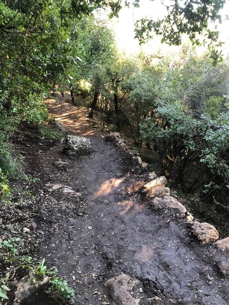 صورة مسار قمة جبل الجرمق 2