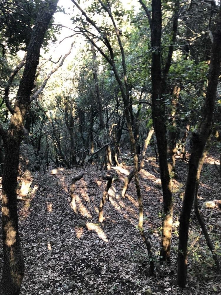 صورة مسار قمة جبل الجرمق 3