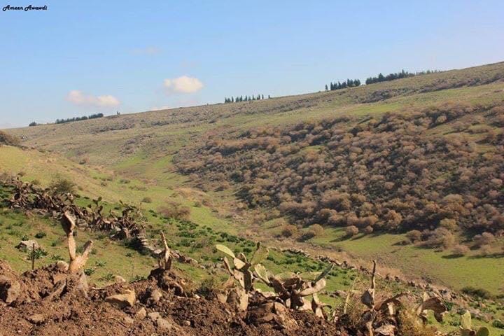 صورة عين دير عزيز 3