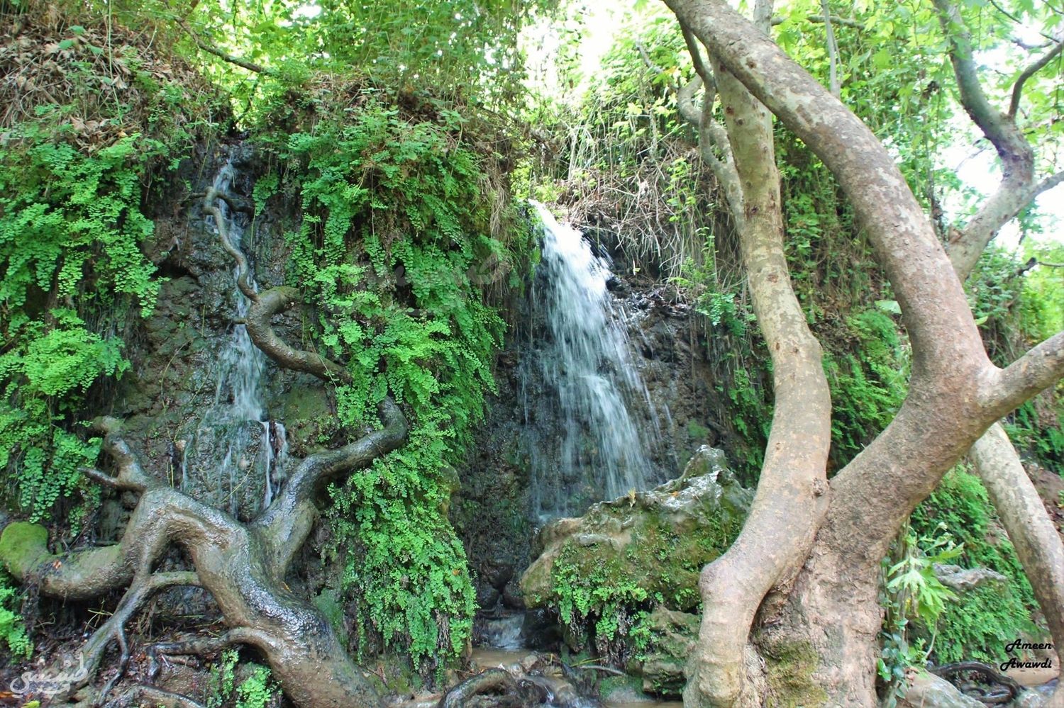 صورة مسار نهر الحاصباني 3