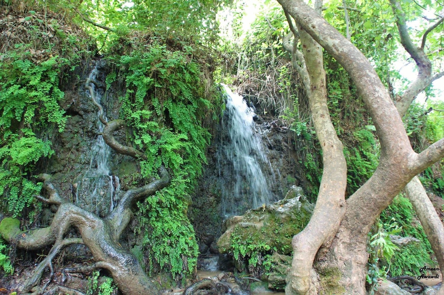صورة مسار نهر الحاصباني 3