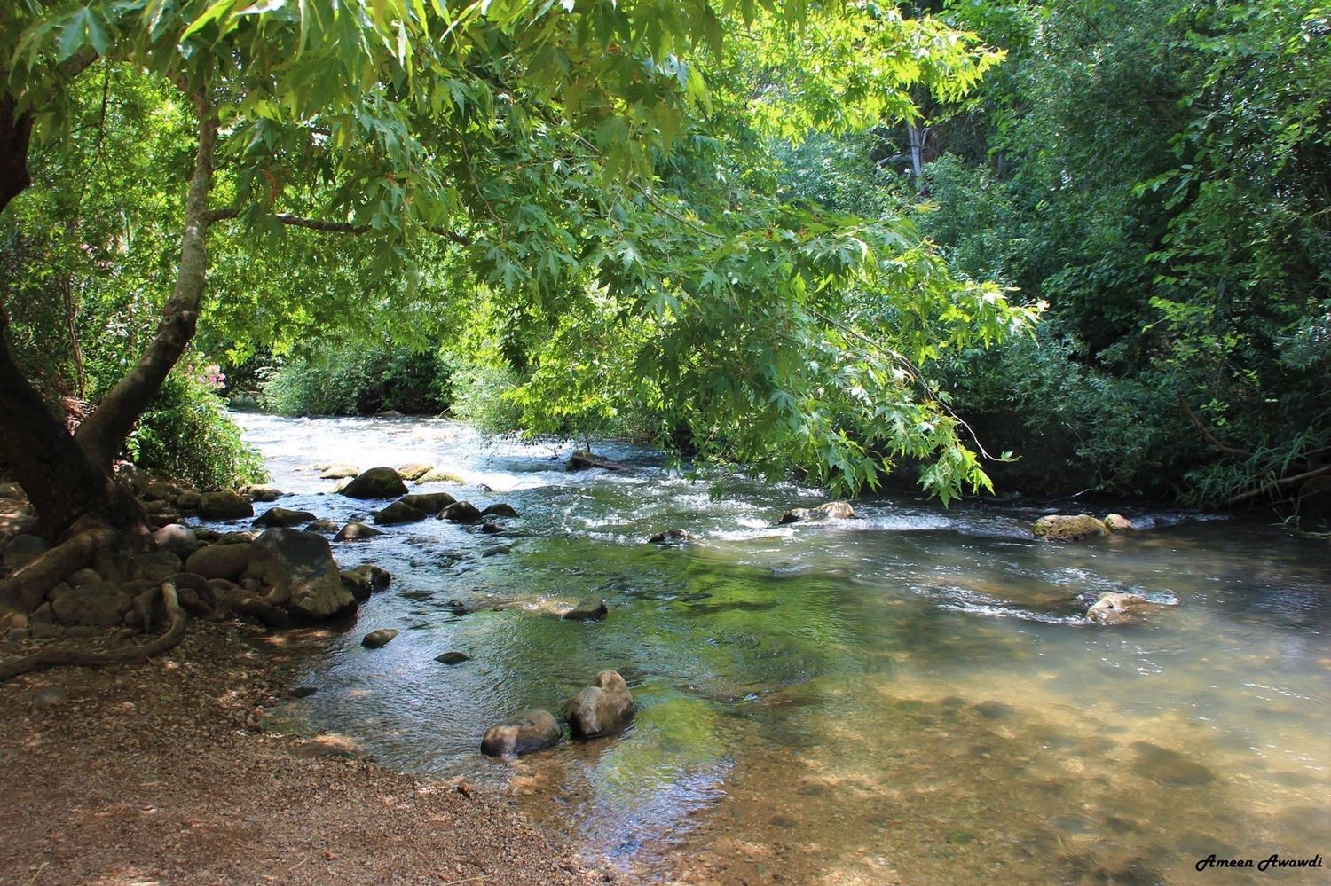 صورة مسار نهر الحاصباني 2