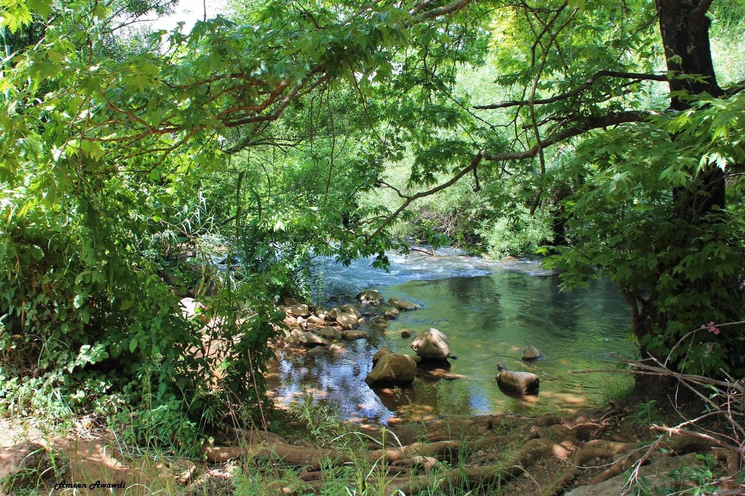 صورة مسار نهر الحاصباني 1
