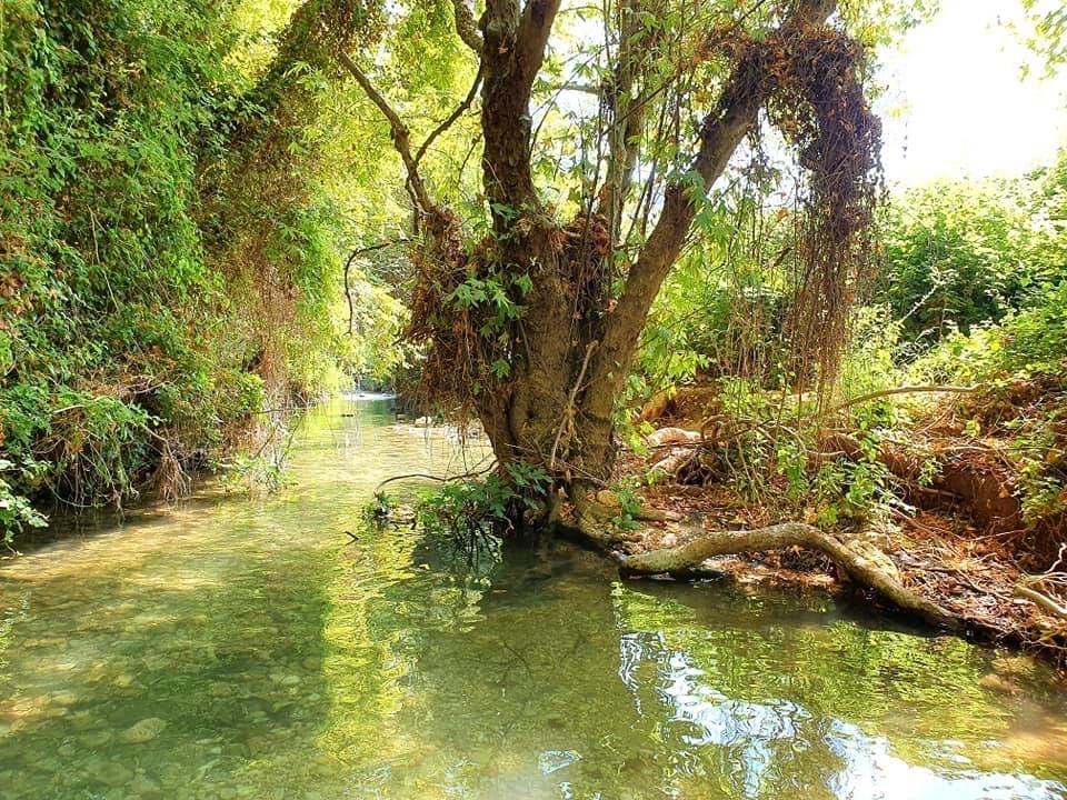 صورة عين الهردويل 1