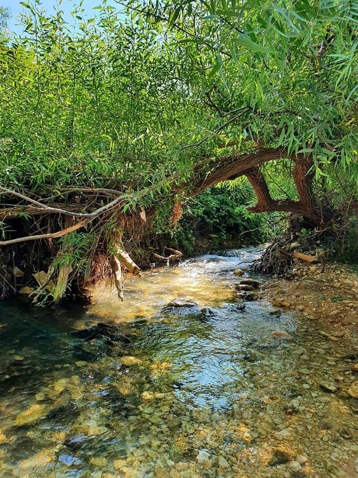 صورة عين الهردويل 3